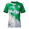 Palmeiras Special Voetbalshirt 2024 Witte